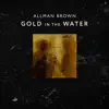 Allman Brown - Gold in the Water - EP